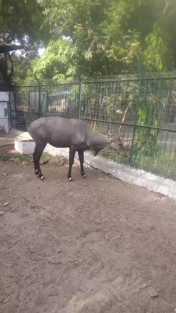 Photo of Ahmedabad,Kankaria z