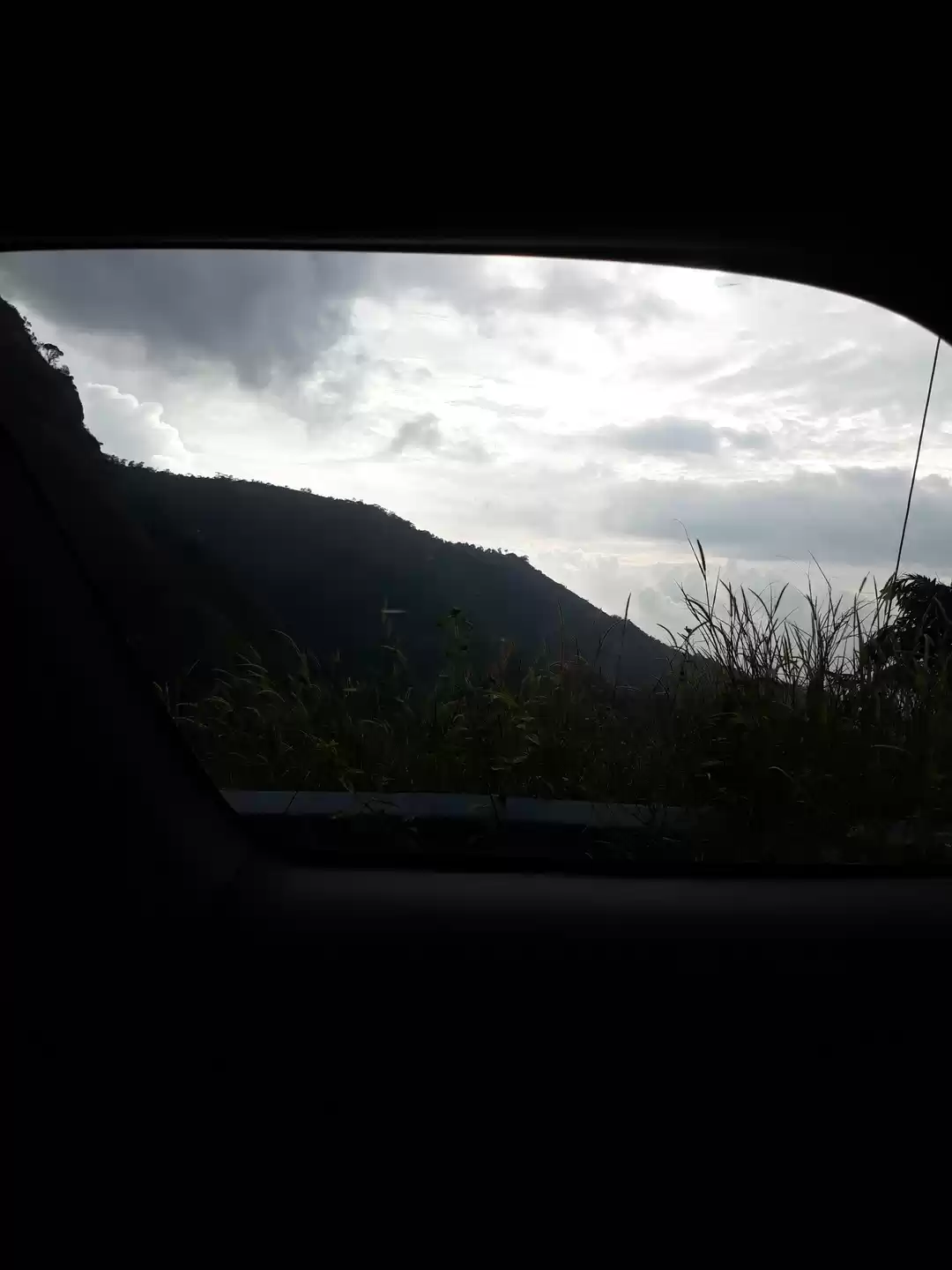 Photo of The Vibrant Vagamon