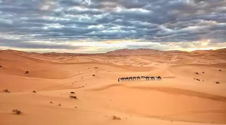 Photo of sahara desert Morocc