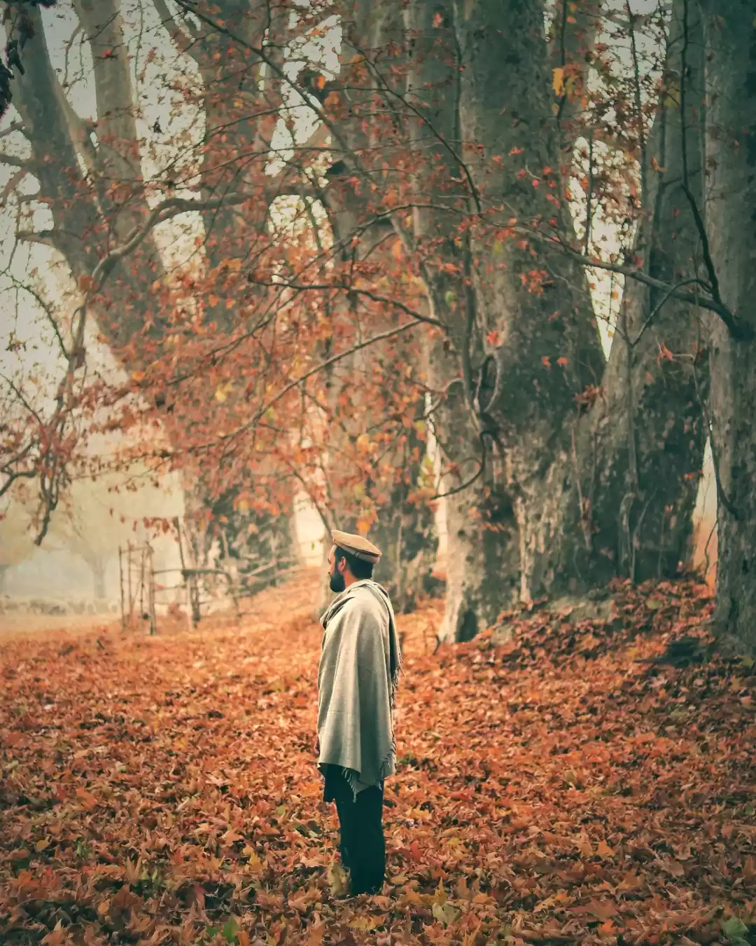 Photo of Im happy with my old