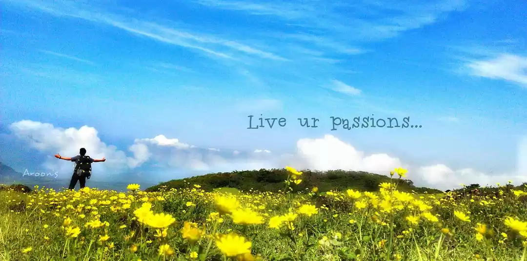 Photo of Getting Lo-Bhi'd