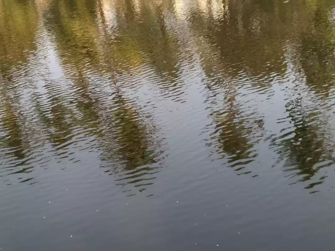 Photo of Story of a village t