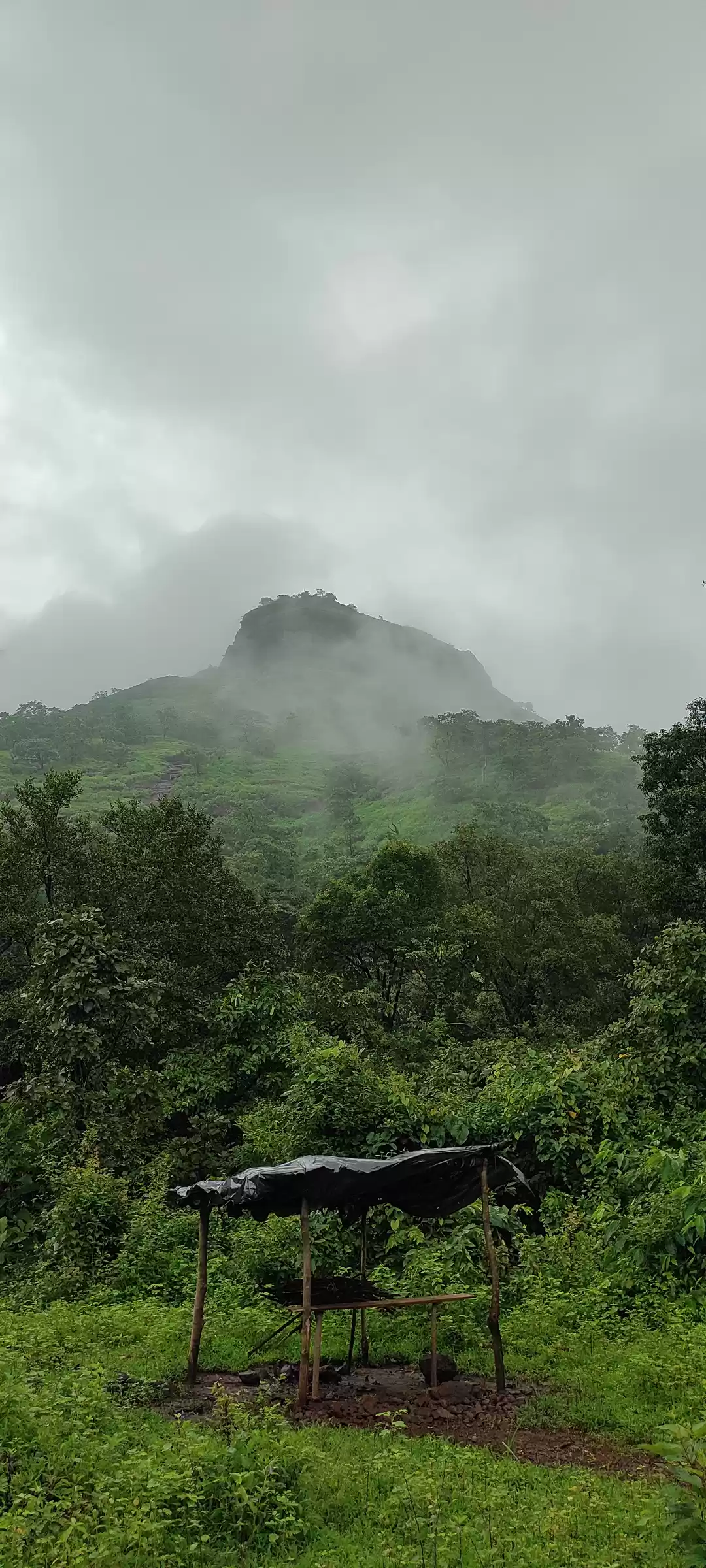 Photo of Read this before pla