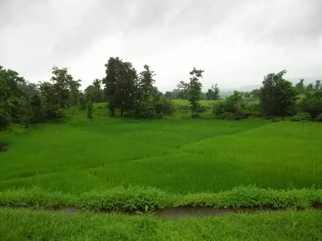 Photo of Heritage Site around