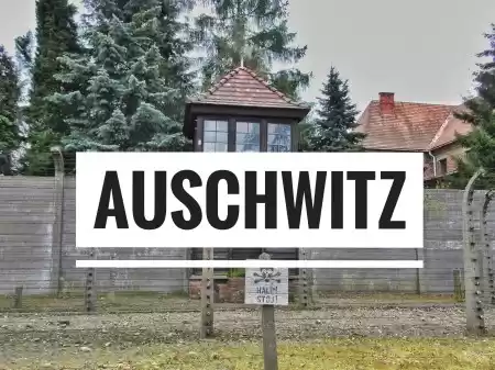 Photo of A Trip To The Place 