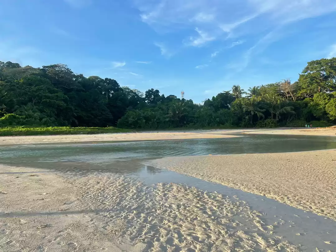 Photo of Radhanagar Beach Hav
