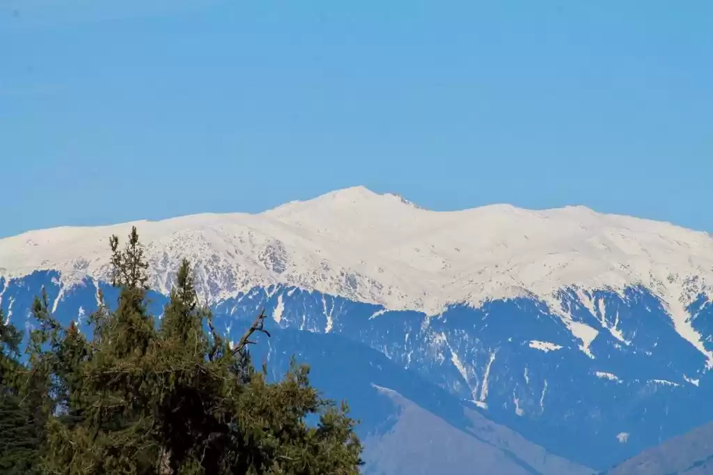 Photo of Himachal Pradesh - O