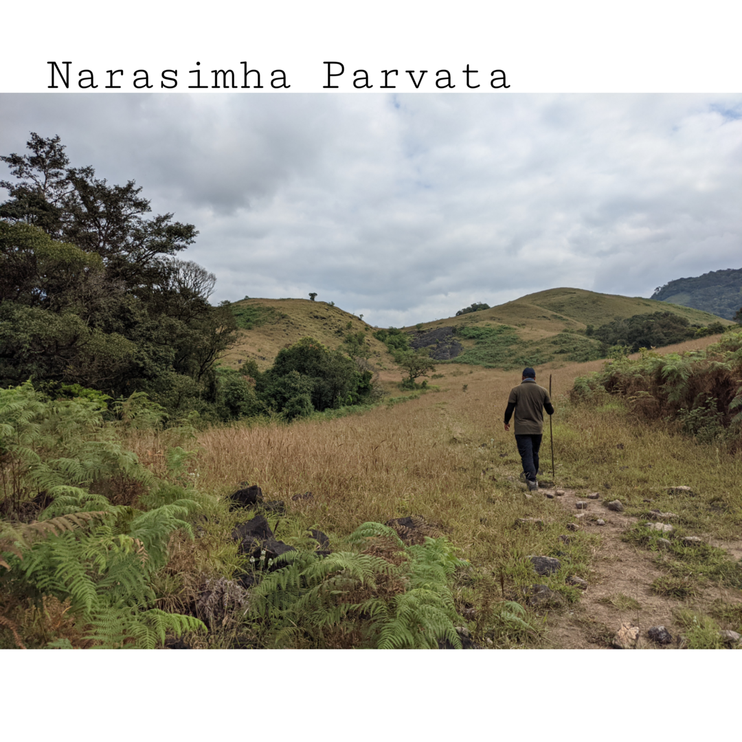 Photo of Narasimha parvata- a