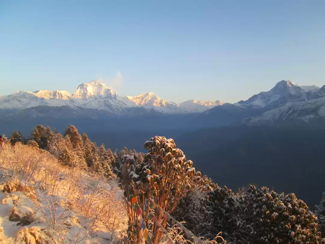 Photo of Ghorepani Poon Hill