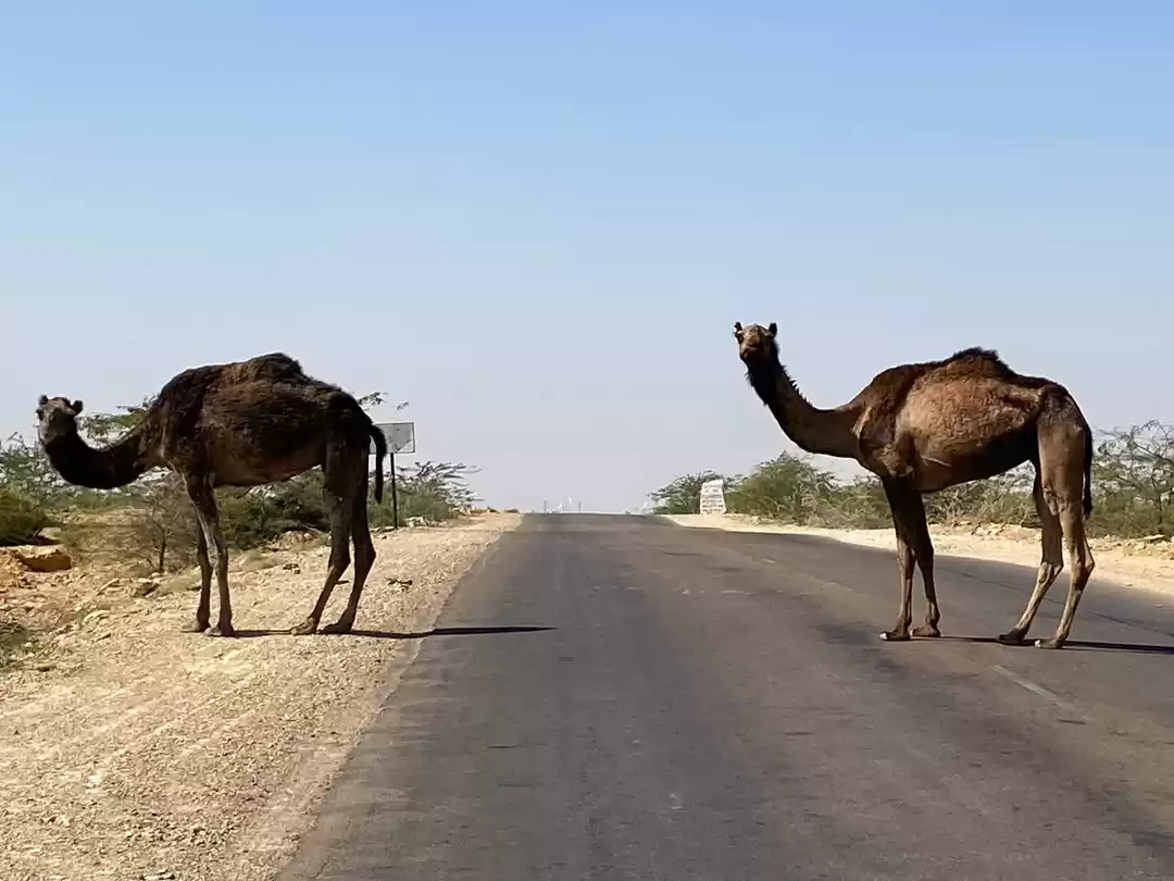 Photo of KULDHARA VILLAGE - A