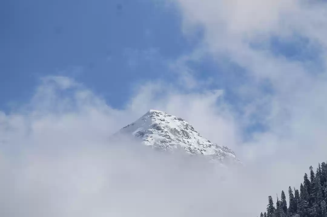 Photo of Jakhol to leka top 