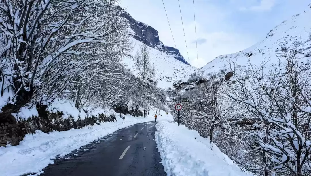 Photo of Himachal with it's M