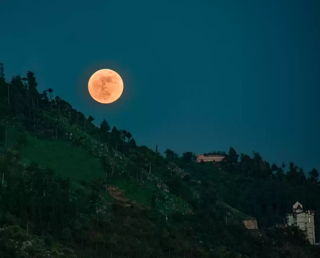 Photo of A trip to Shimla and