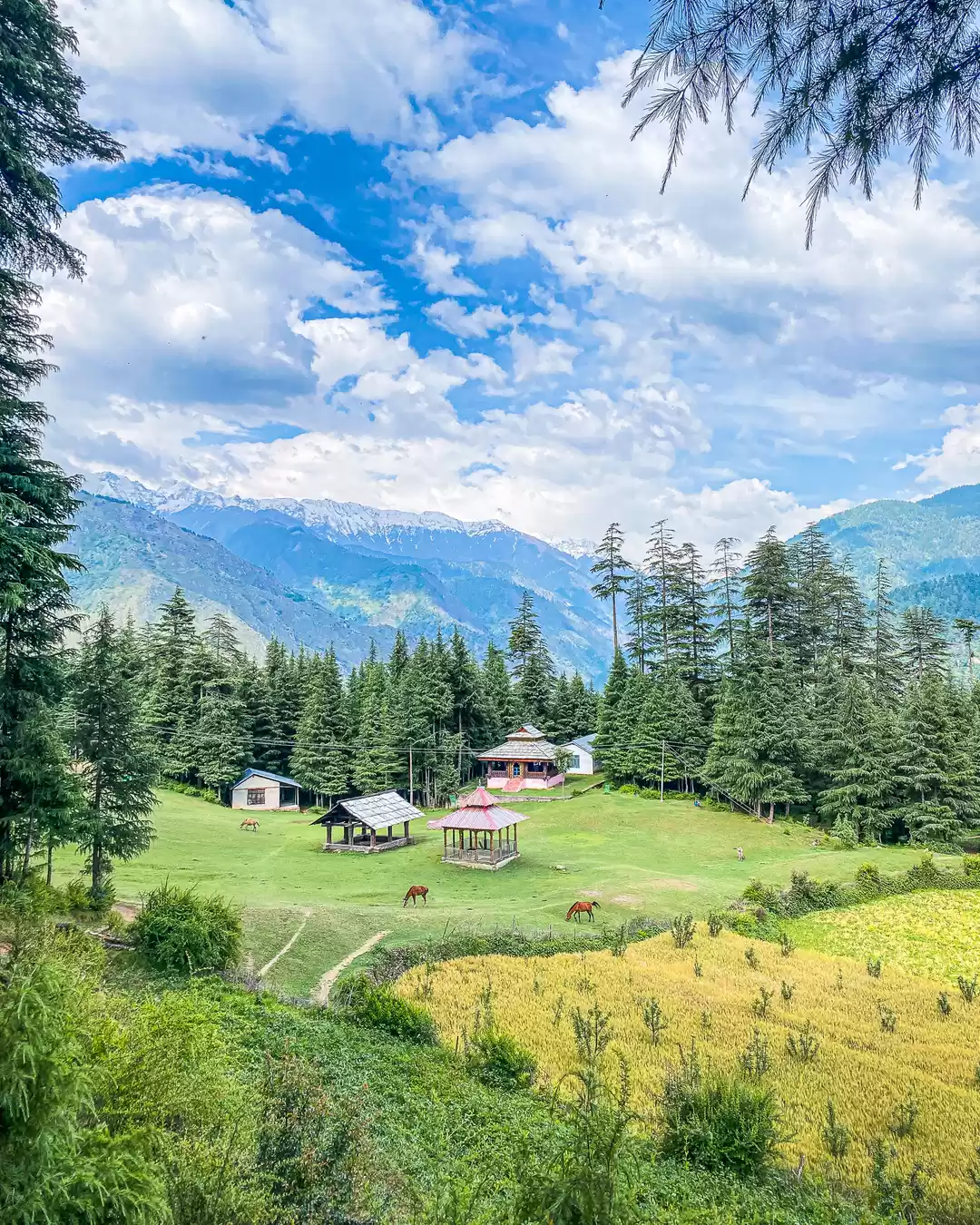 Photo of Sainj Valley- A Less