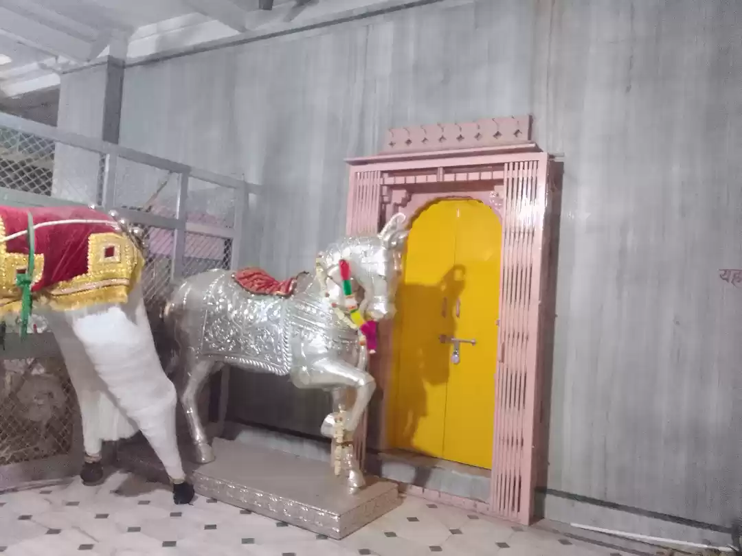 Photo of Silver Horse