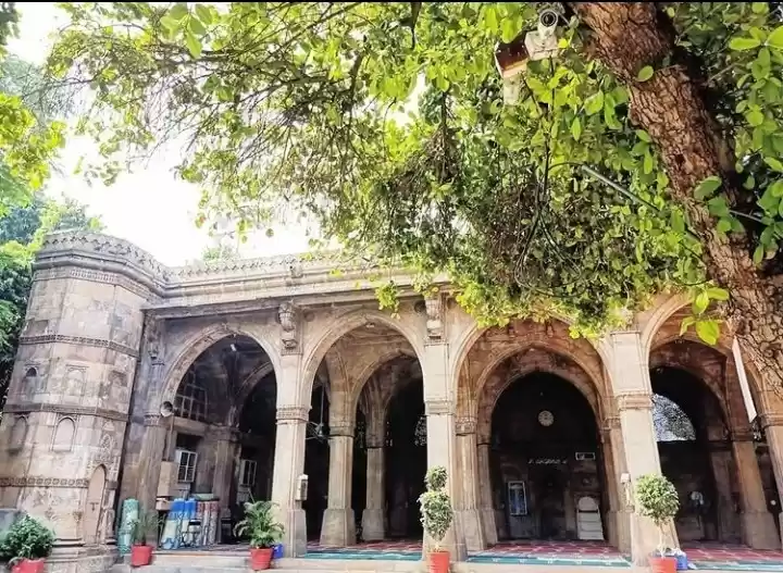 Photo of Sidi Saiyyed Mosque