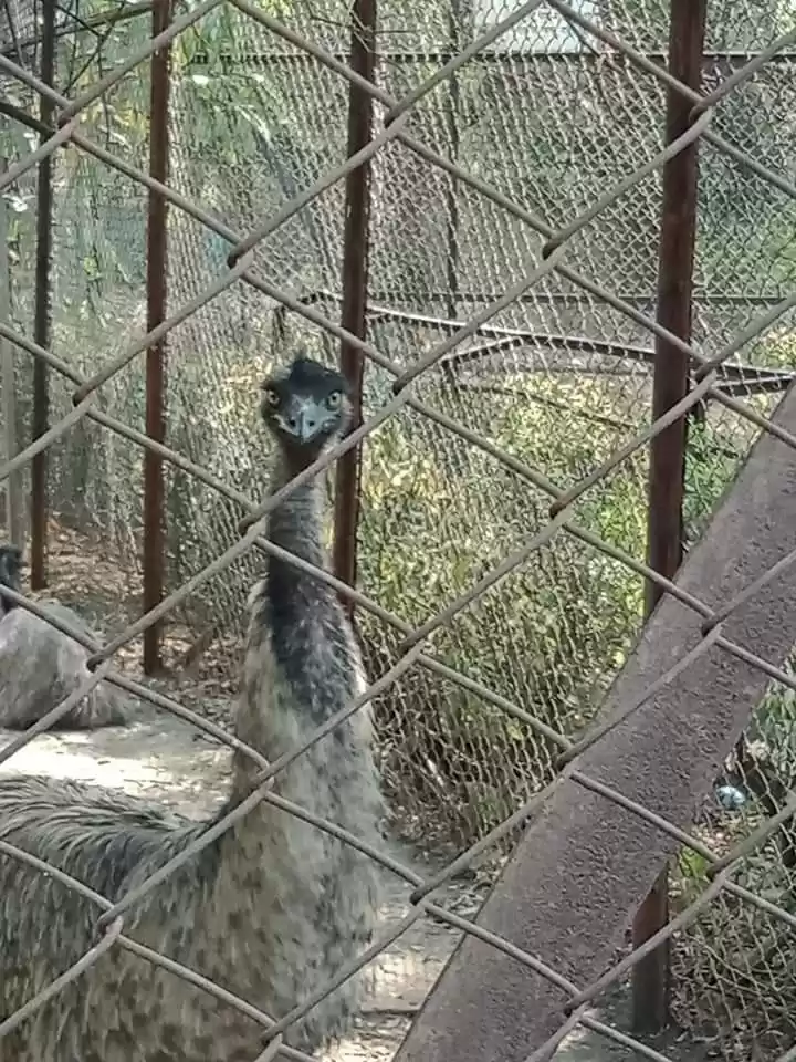 Photo of Ram Ram Bolo Nagpur 