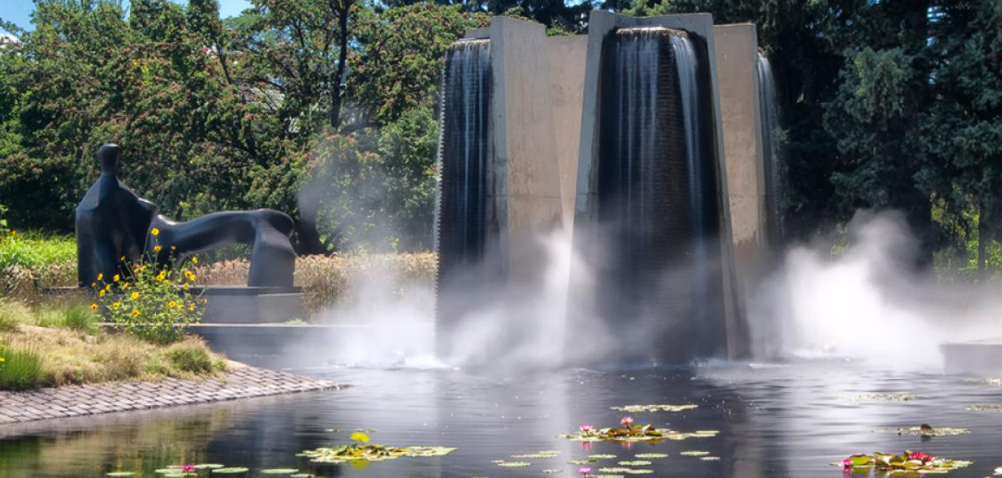 Photo of What to Do in Denver