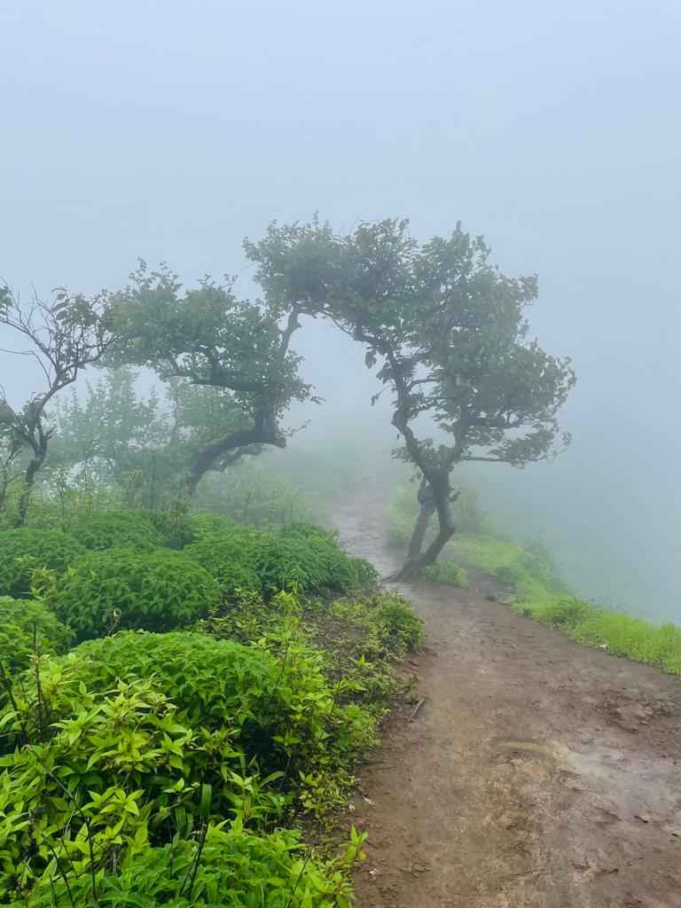 Qadimgi porno er-xotin yosh er-xotinni taklif qildi