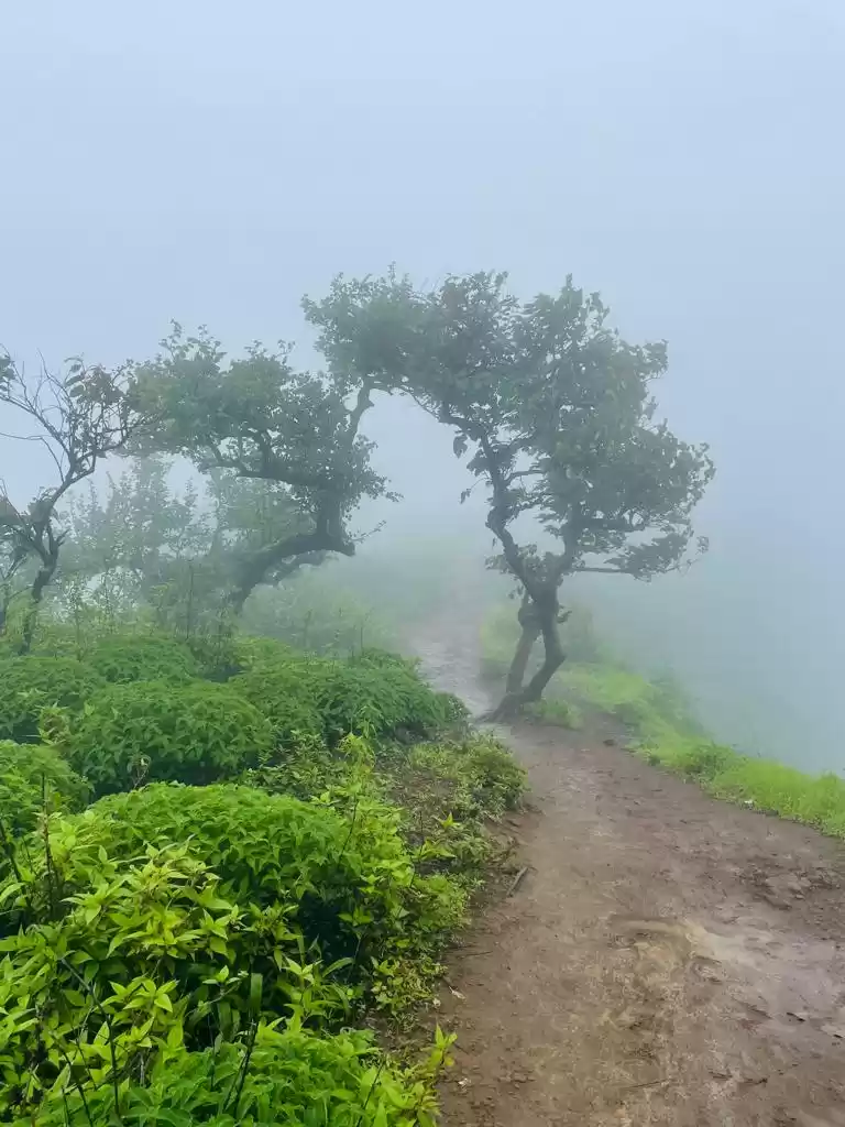 Photo of Harihar Fort Trek - 