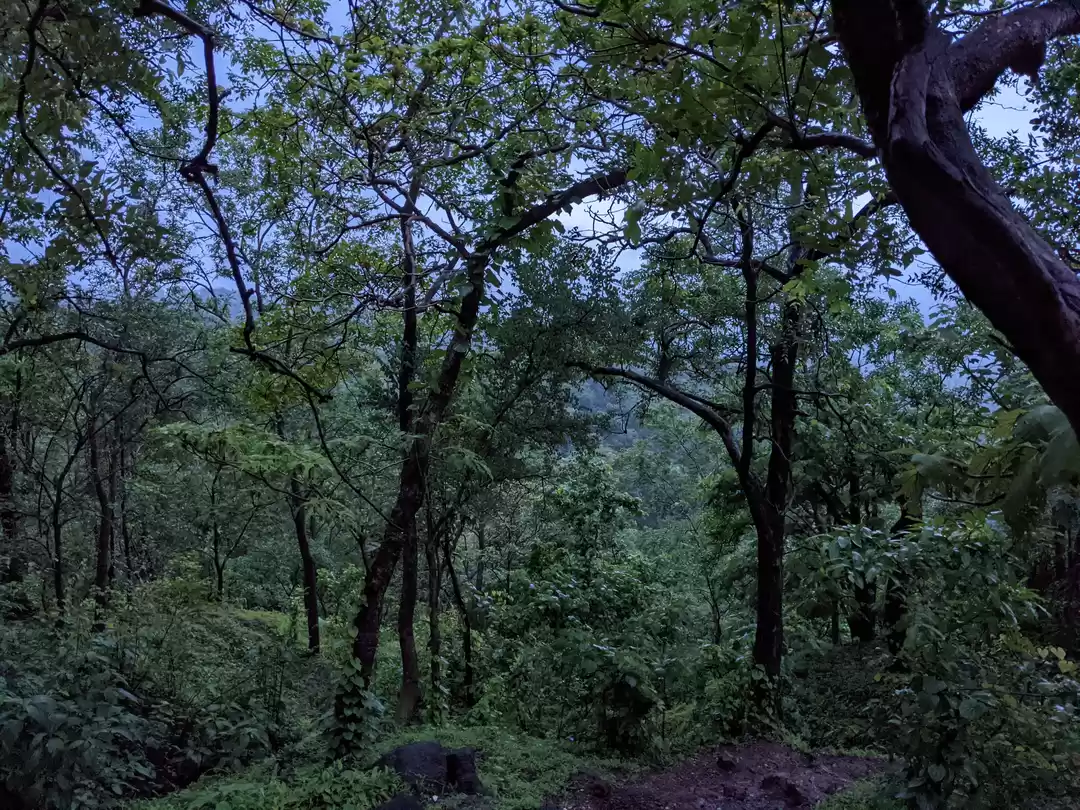 Photo of Naneghat Trek