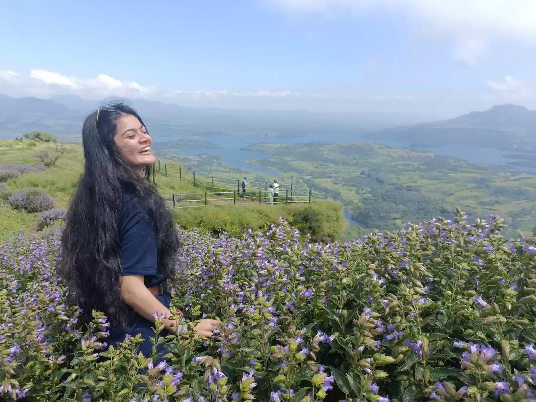 Photo of For the love of fort