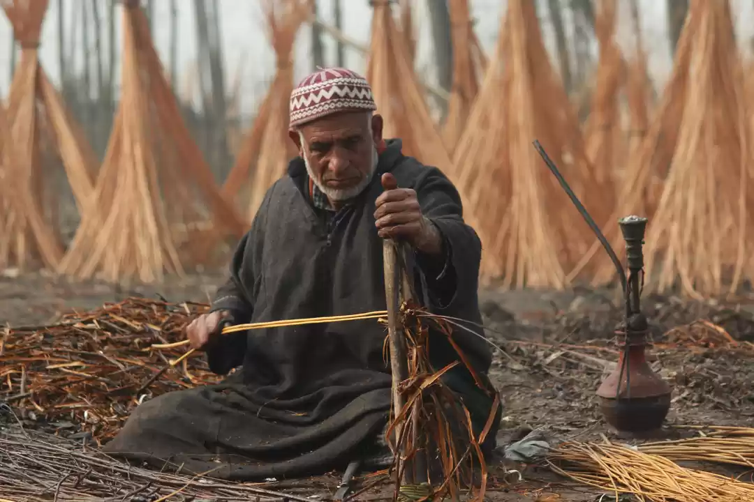 Photo of Local Workers peelin