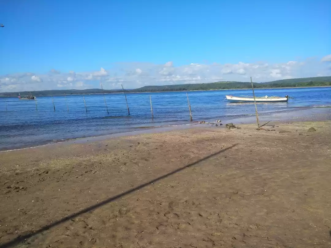 Photo of It is beautiful ! My