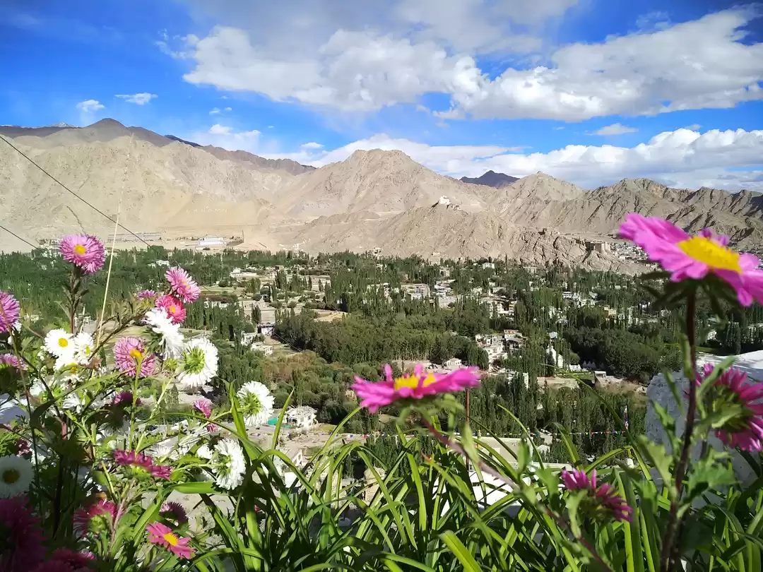 Photo of लदाख : एक जादूई अनुभ