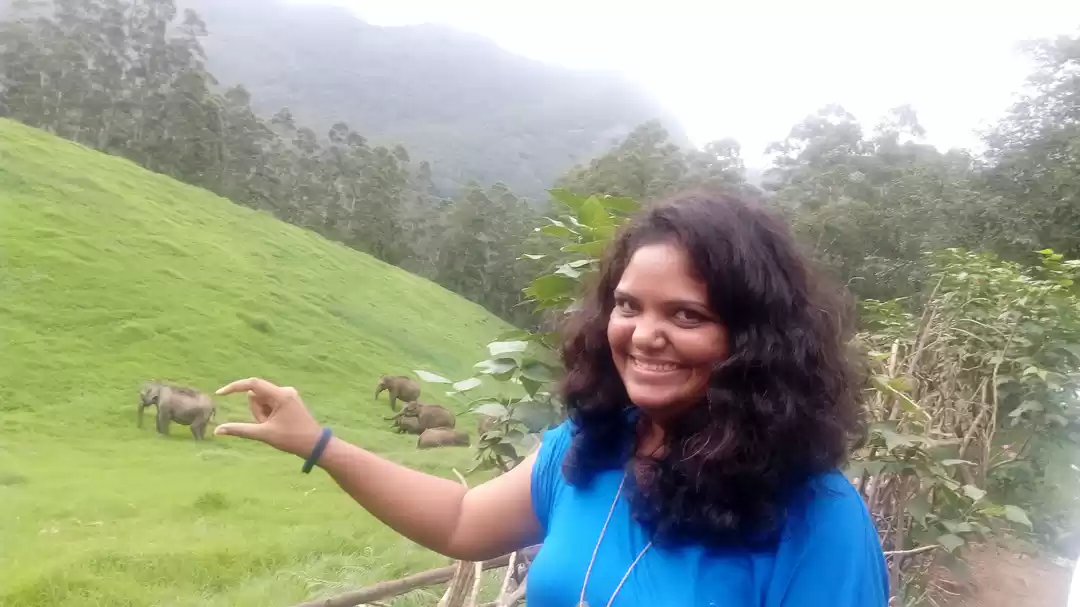 Photo of Day 5 Kerala Trip