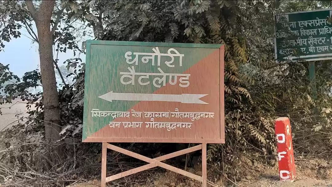 Photo of Dhanauri wetlands No