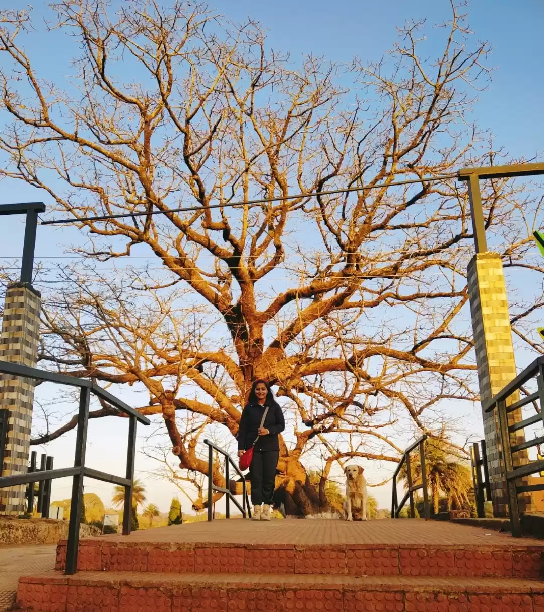 Photo of An Adventure to reme