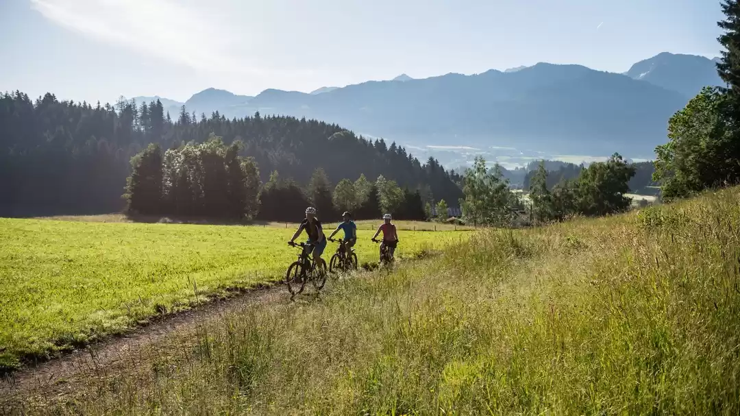 Photo of Guide To Choosing Th