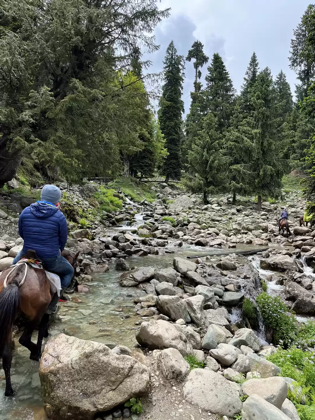 Photo of Gulmarg beyond Gondo