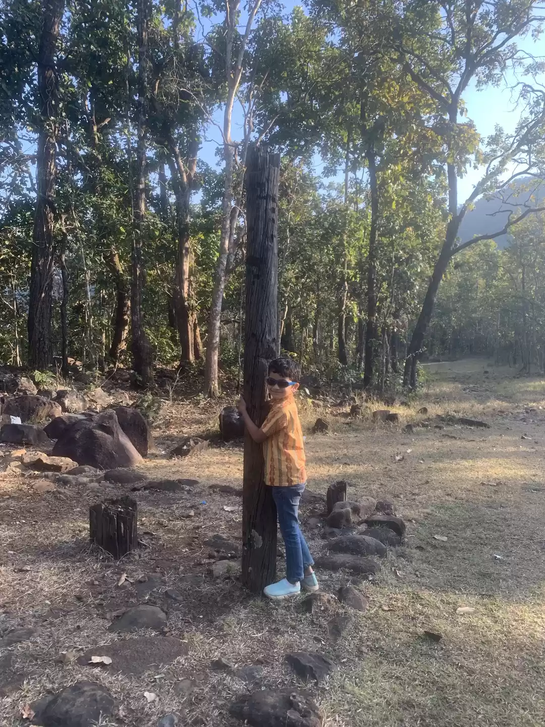 Photo of BarehiPani waterfall
