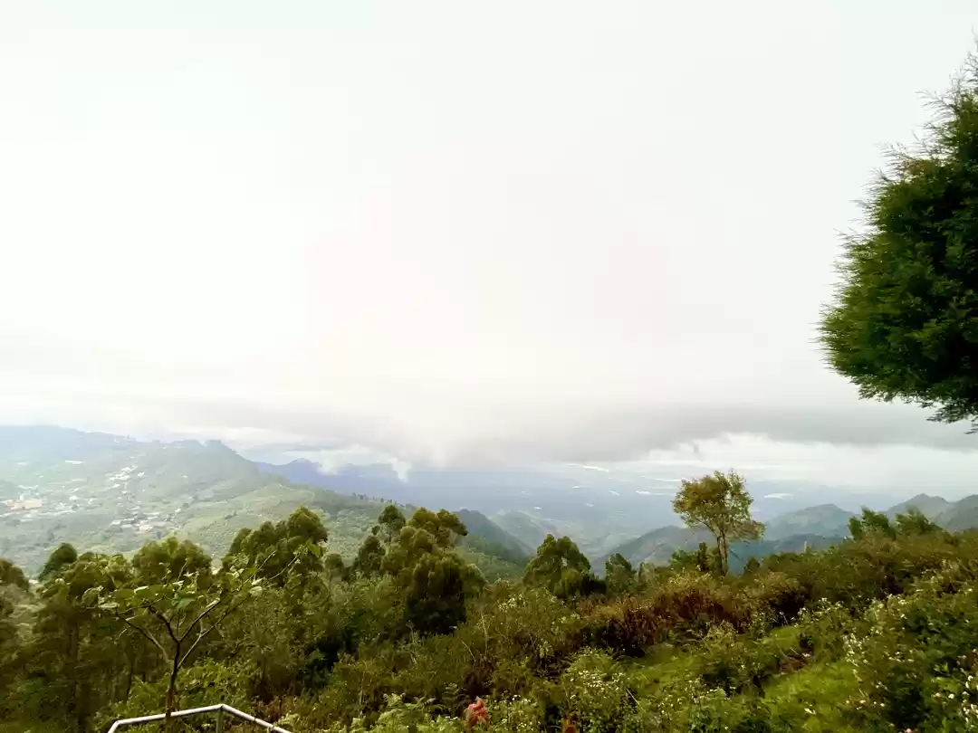 Photo of Coakers walk , kodai