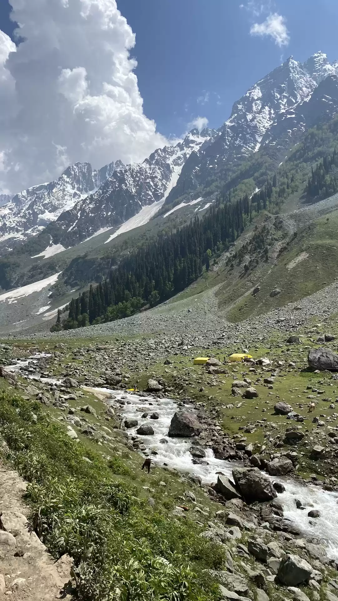 Photo of Thajiwas glacier
