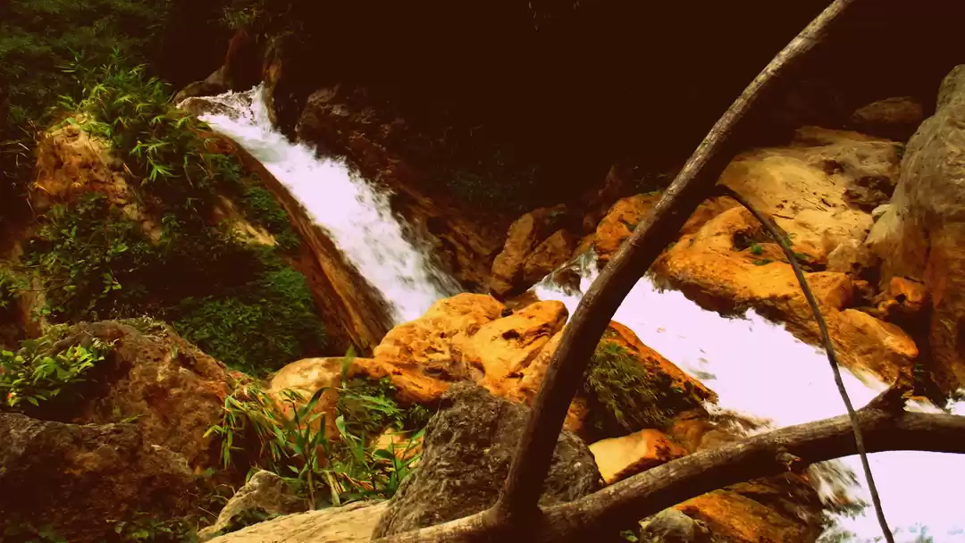 Photo of Rishikesh_The advent