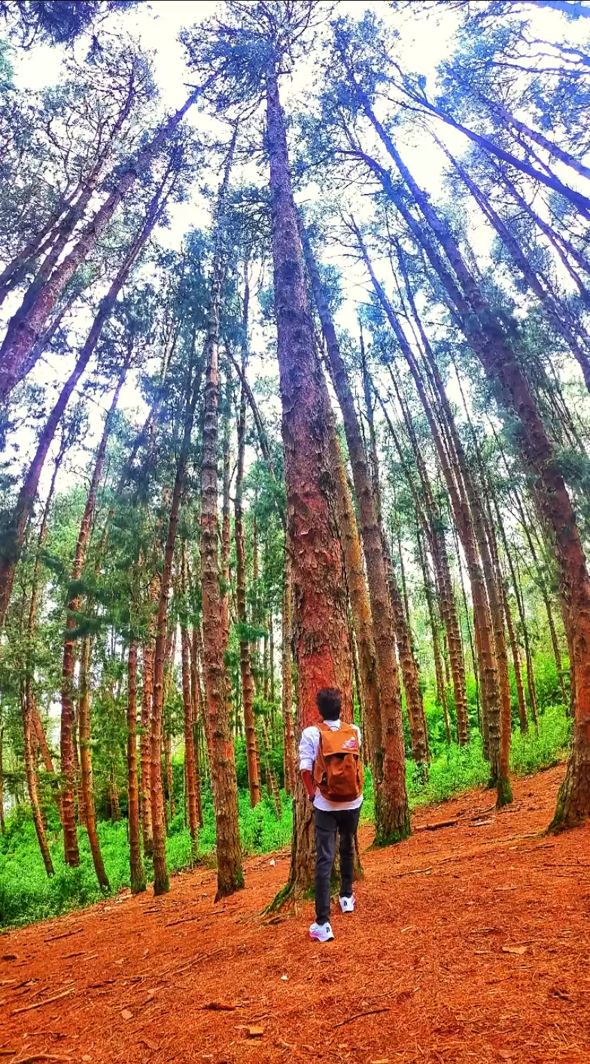 Photo of Blog on Ooty