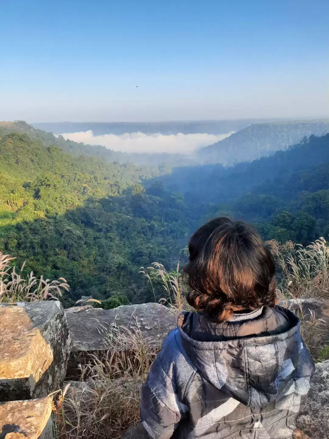 Photo of 7 useful tips for so