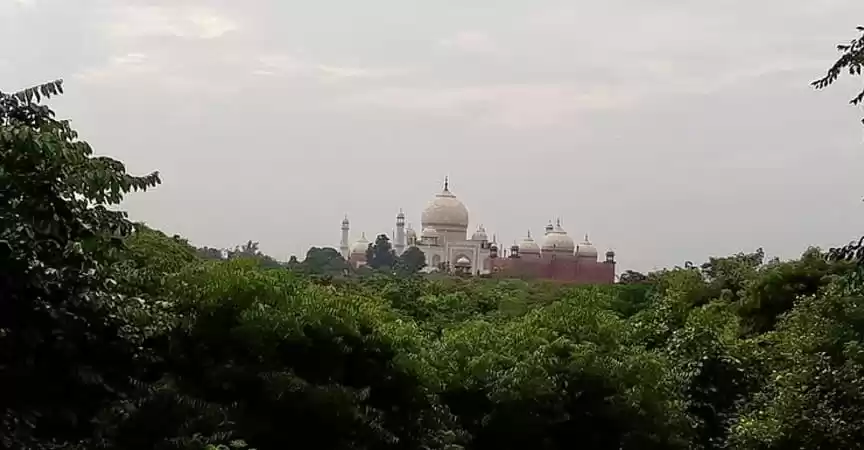 Photo of taj nature walk