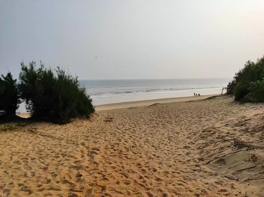 Photo of Chandrabhaga beach 