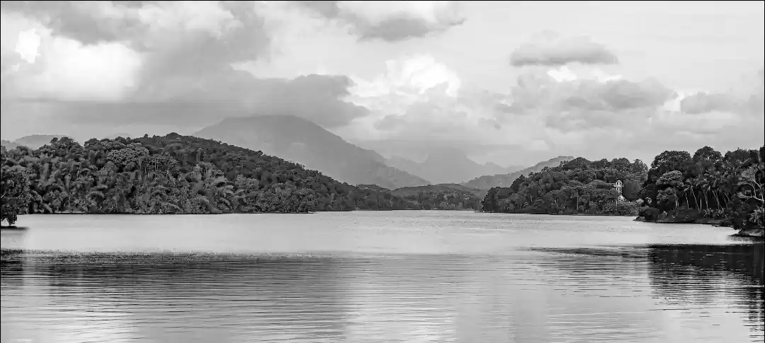 Photo of Neyyar Dam Lake view