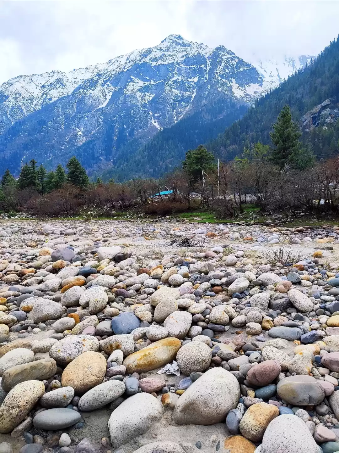 Photo of Rakchham, Kinnaur 
