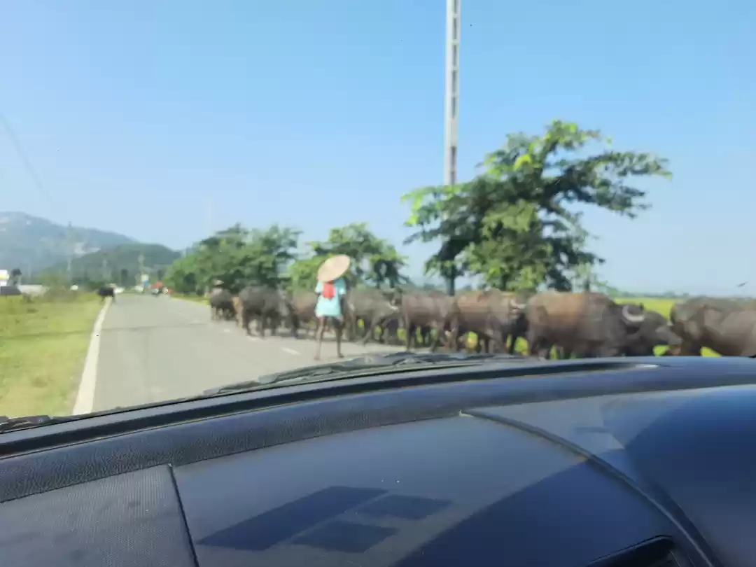 Photo of Mountain Lovers:Mahe