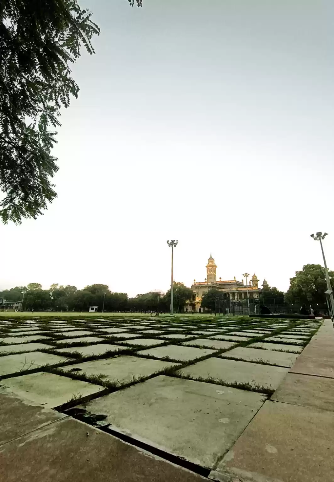 Photo of Mlb college