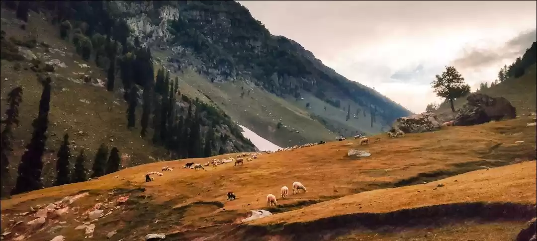 Photo of Tarsar marsar trek, 