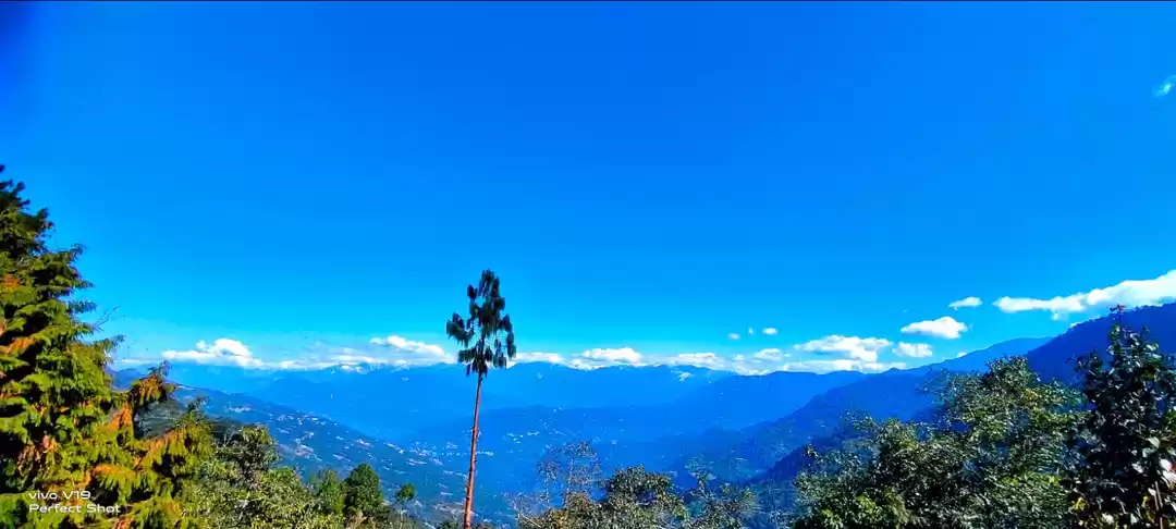 Photo of Mayrong forest villa