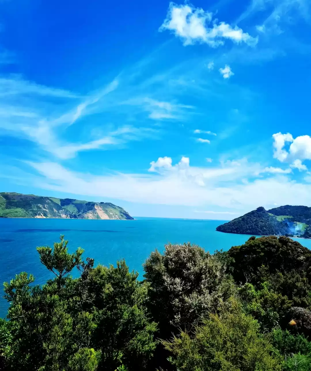 Photo of Hidden Gem in Auckla