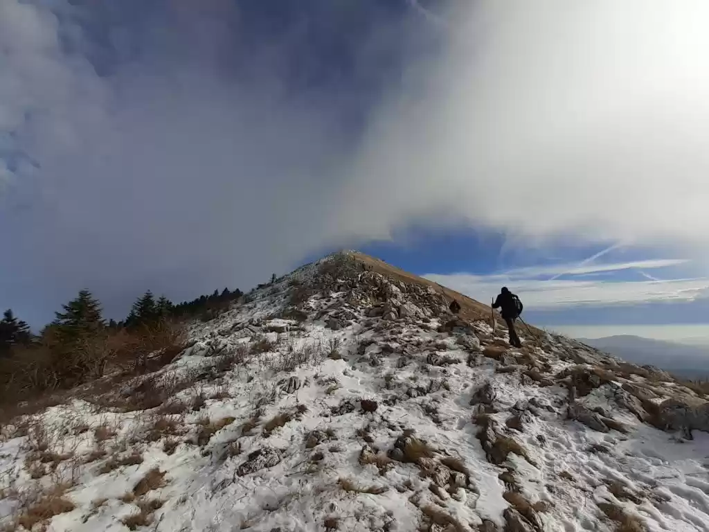 Photo of Hiking Adventures on